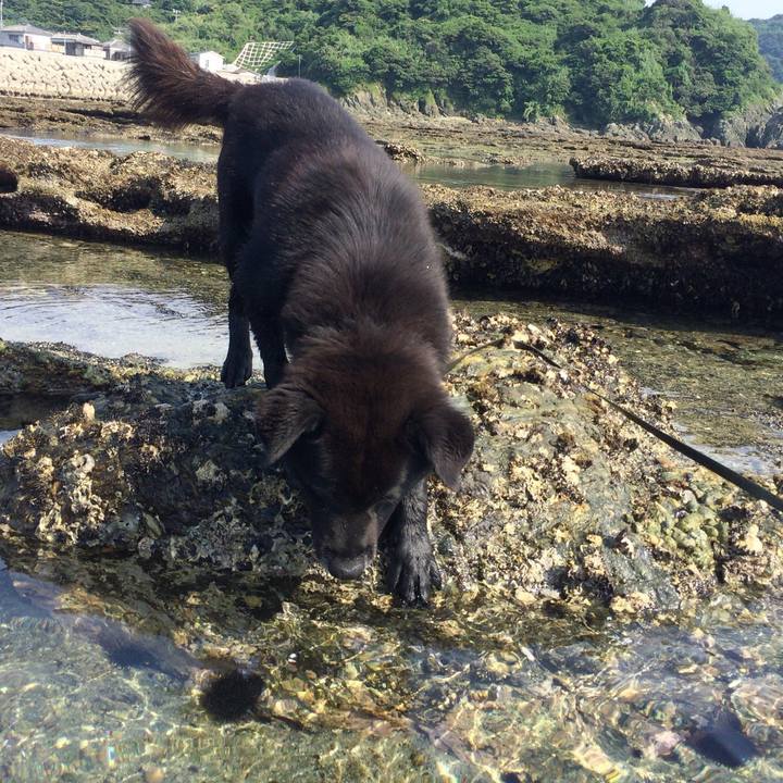 3574f678 98f6 47d6 bfe0 942e1ab1e969