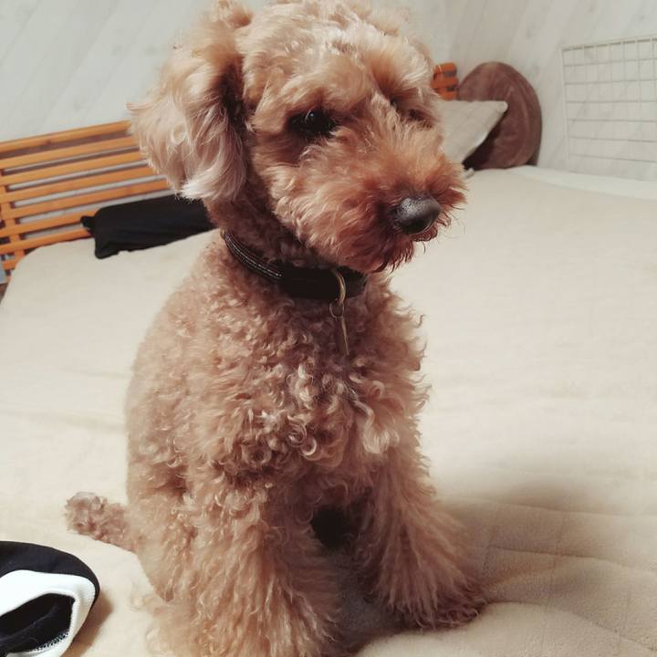 35750339 aa58 4136 ab76 e80f03a82ec1