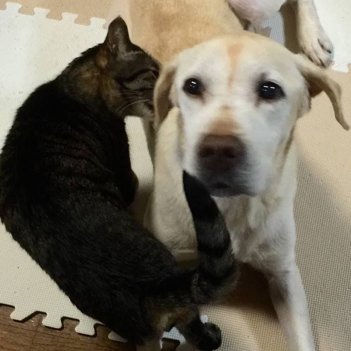 35755e70 21d6 4fef b5ed f856398786e7