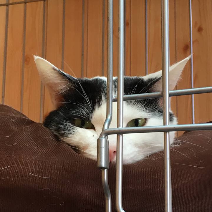 3576924a bee2 422f a410 d7b97b443e6a