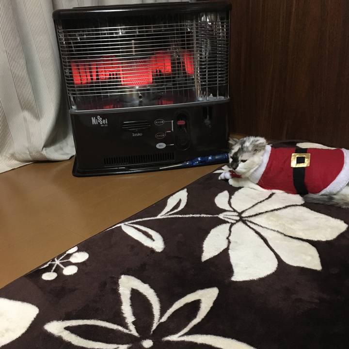 357729b1 39b2 4a0a 8c35 6b4166139175