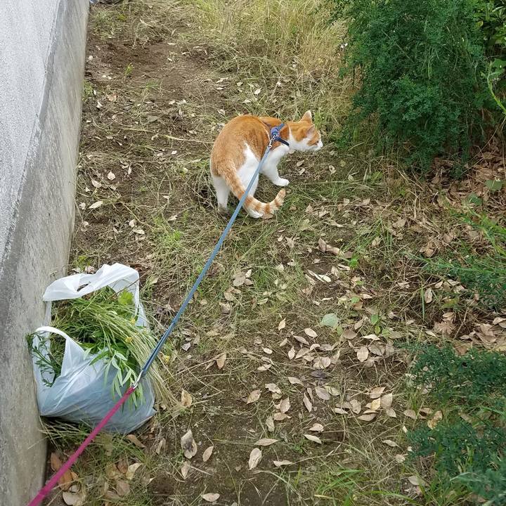 35775a6a 69b9 496c b117 2d755fe1a97f