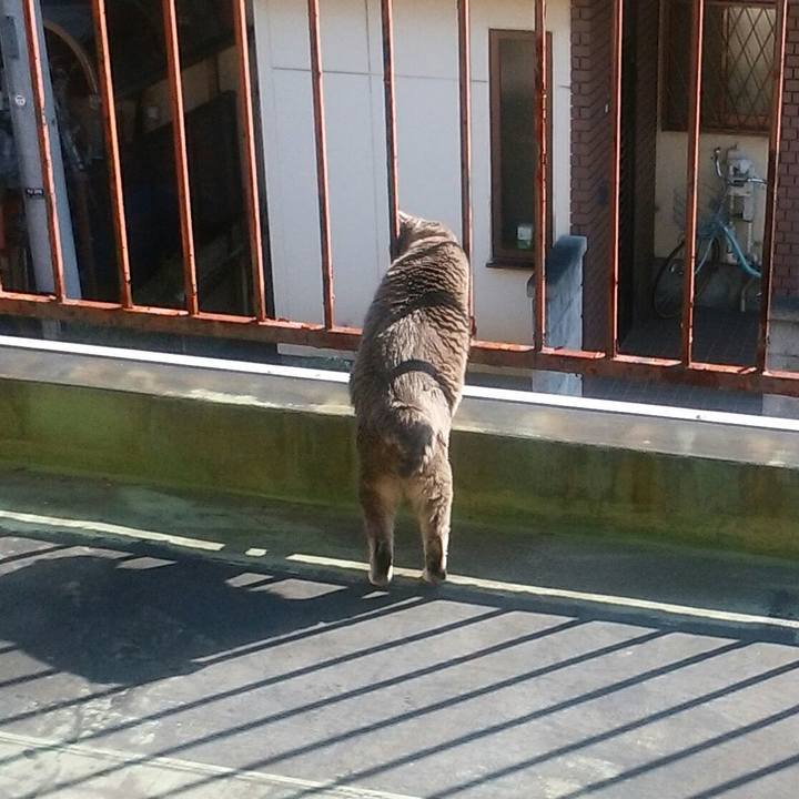 357775b2 4399 4029 9f02 2916d835e1c3