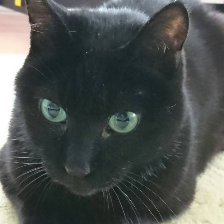 35781350 752f 44ac 86ff d0daacbd68e8