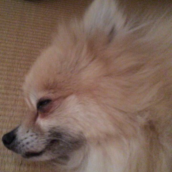 357951fc b2df 4d11 82ac 669b94624d63