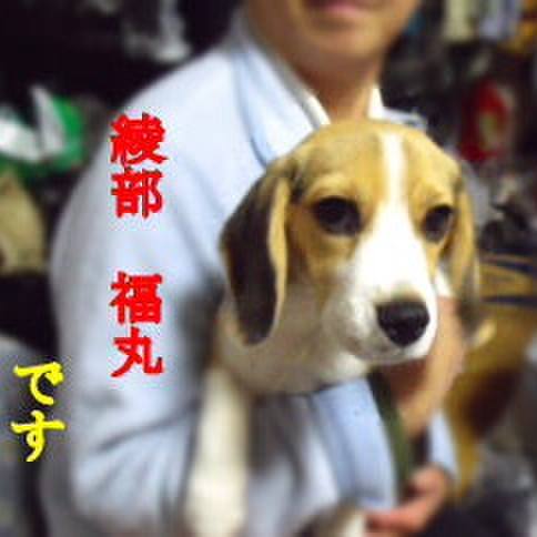 3579ce00 f1ed 44a5 8f1c e51f34ecd67c