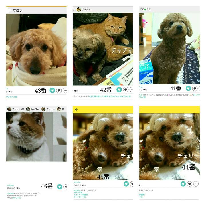 357a13b8 8a2d 40ac 956c c08356b9fef5