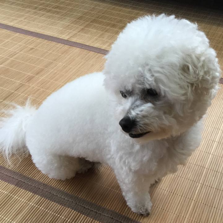 357a8e3f c12a 42a4 9f60 7664b2230eda