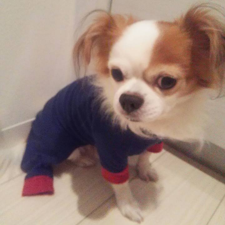 357ad5f2 f766 48d1 91bb 740cba434e7b