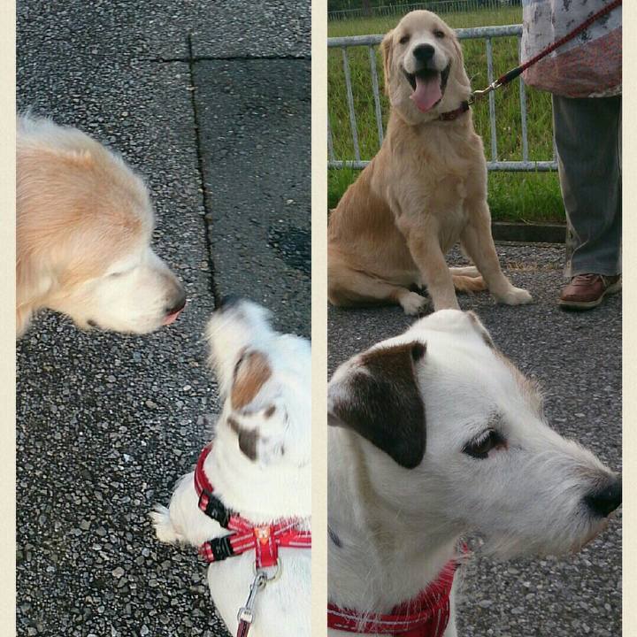 357b76f5 b928 4cf3 9480 33f8c2999306