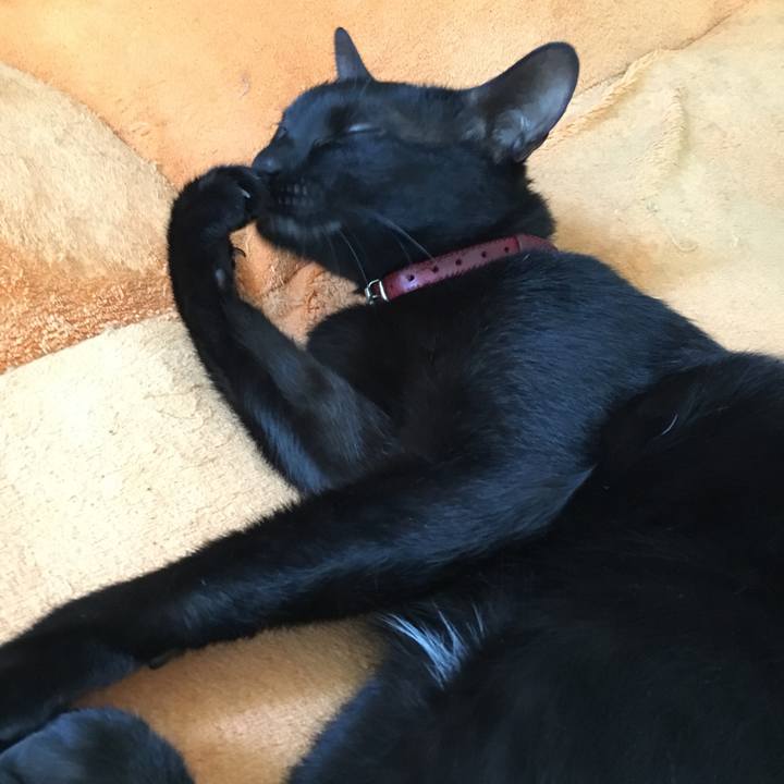 357b8c8f eb6f 46c1 864e d8daccddb79f