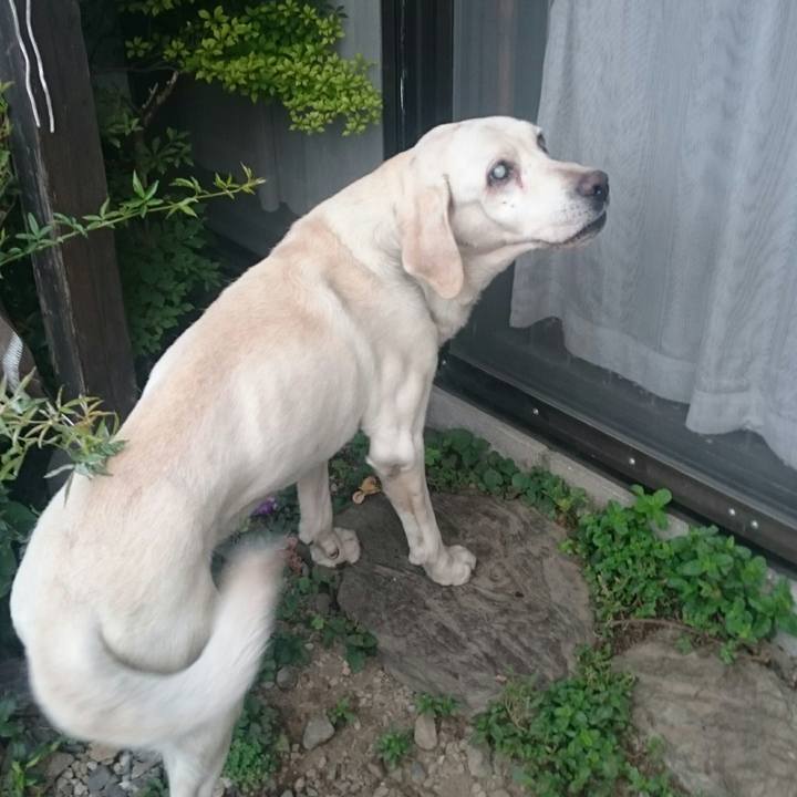 357bafee a82a 4a5b 9b51 ef432070533a