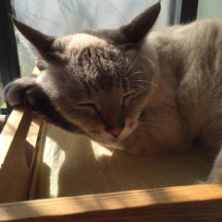 357ca68d 7633 4e37 bfbf c4cdcfffcc88