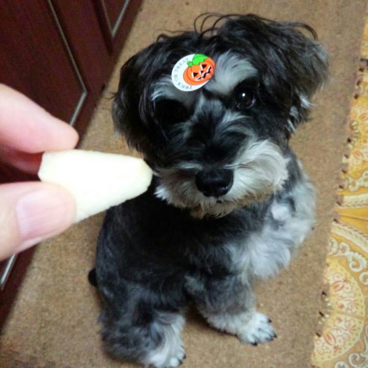 357cd1d9 6fcb 4382 9845 7e3578f308a5