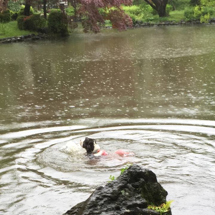 357d5352 ce0b 452f 8f2c d56bb269084e