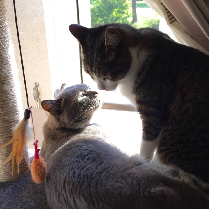 357d6414 cb14 4c84 8b0a 0bebf5e902e2