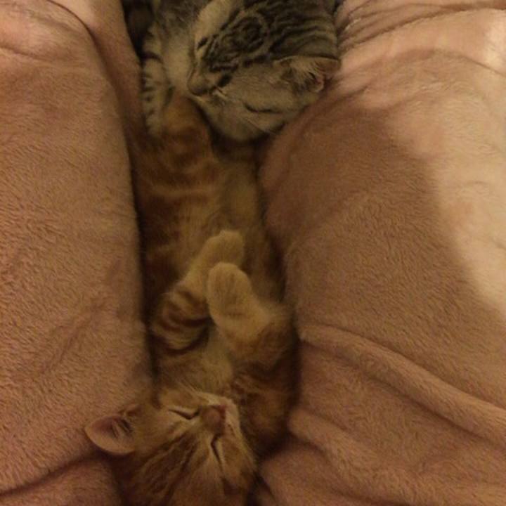 357da24e f8f6 4fd0 b770 5d2f0d3e59f1