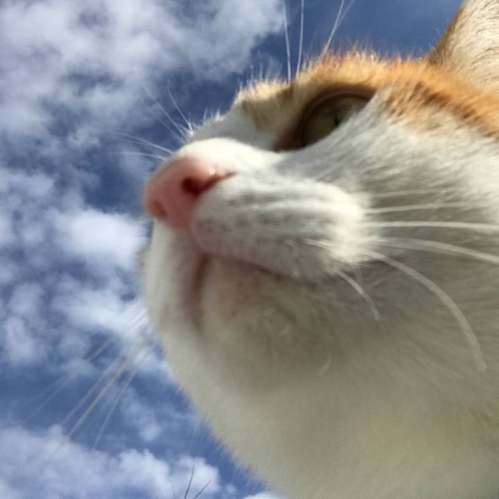 357e1816 a6d8 4eac 8fb0 5937074aa665