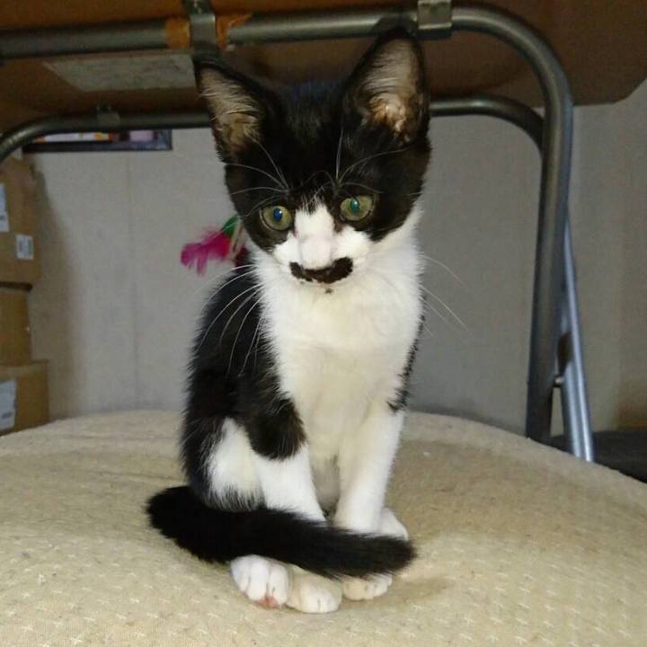 357e9fee ea52 47e3 8937 c3e84440be48