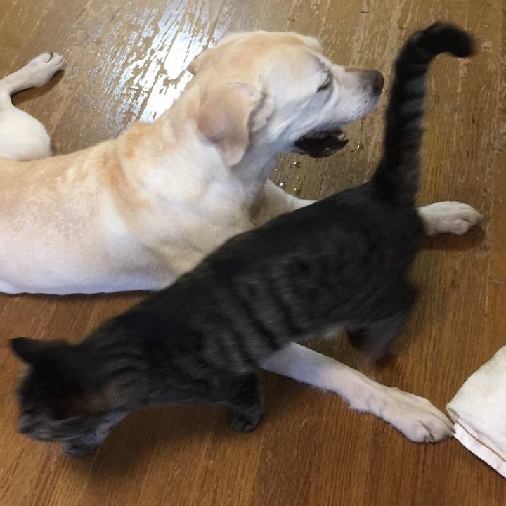 357fba1c 766d 41c1 a13b 78ff640a5b38