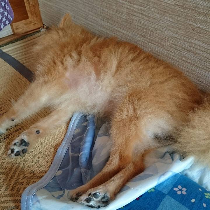 357ff260 e378 4762 8af5 b513d7e9c002