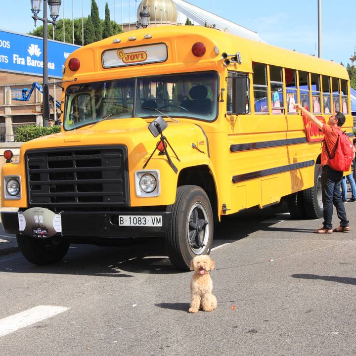 35801520 159e 4816 b3cc bcb0fbf92db6