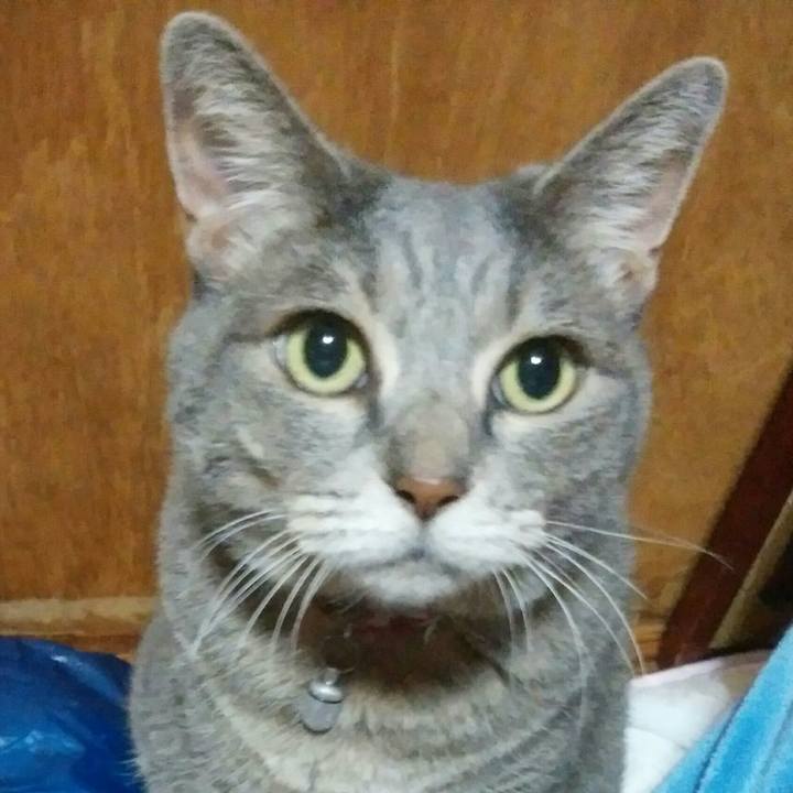 35802c1f d87c 45b4 9dfa 6ca58754eba5