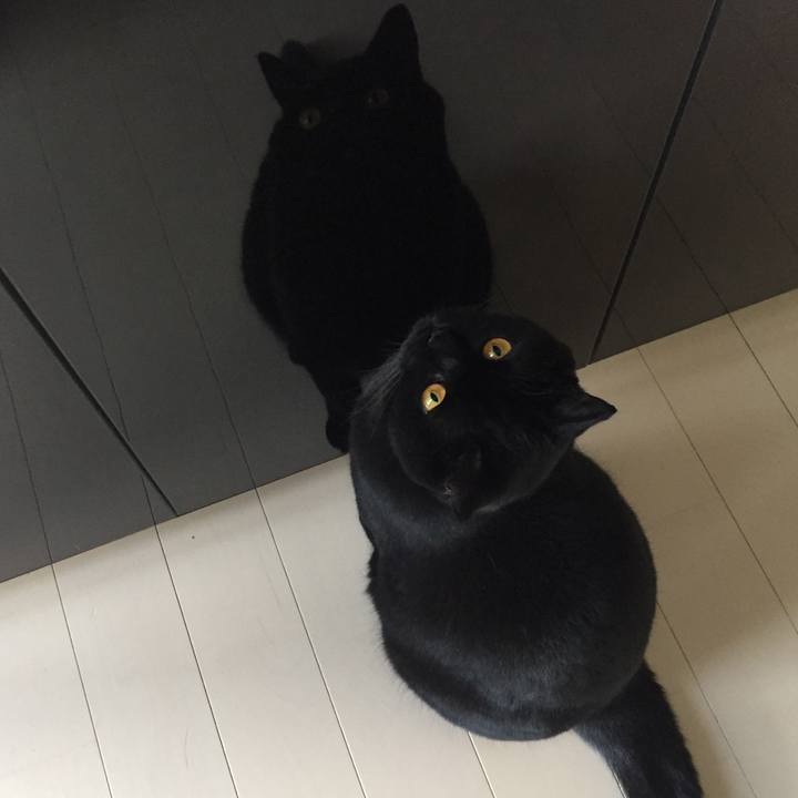 3580635c d473 4def a3aa db04fd9a904a