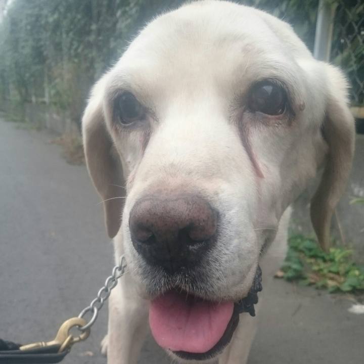 3580bace 5959 4f63 9e0a 965169c5af10