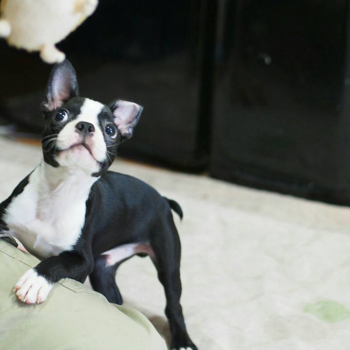 3580d7d6 dffa 4051 a1d0 682dfba6f91e