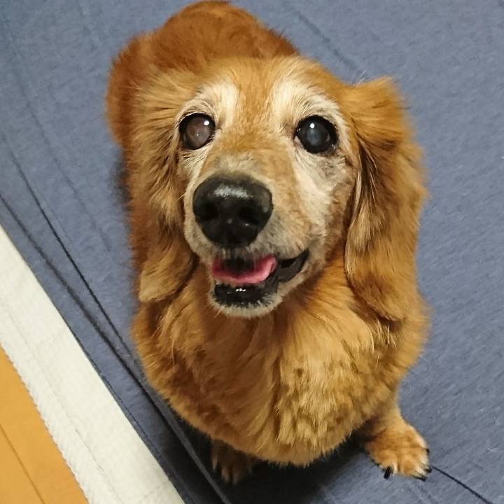 3580ef92 fd5e 42ac a055 955b96858932