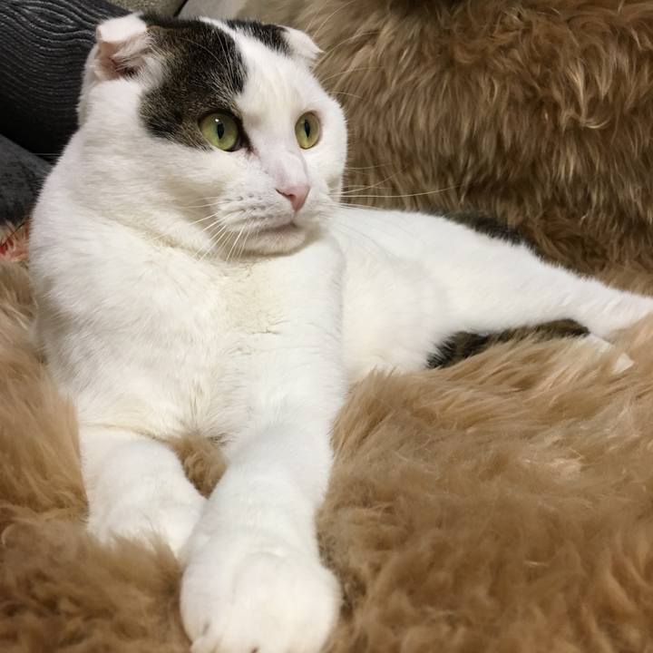 3581fb93 5375 45ab b232 2c4bc95a8b92