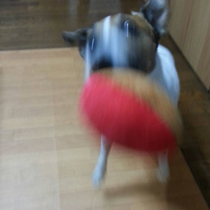 35820afd e00d 4721 b55a 199508a49037