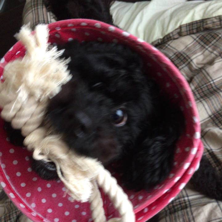 358214f3 d6b0 4b60 b764 6e8b68e25b49