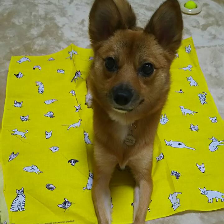 358246f1 0b0b 41cf 87a0 e6827a0c34d7