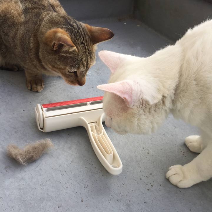 35829ba8 a98b 4a35 a93e 1421fd9412b3