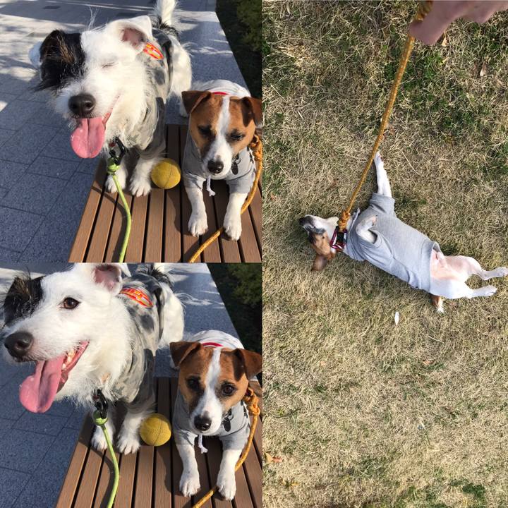 3582ca31 18f6 4b54 9309 fa76f57f1671