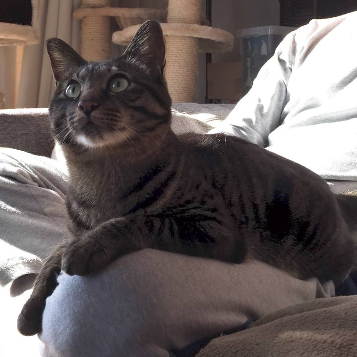 35840889 8e21 4f16 bcc0 68bea996c979