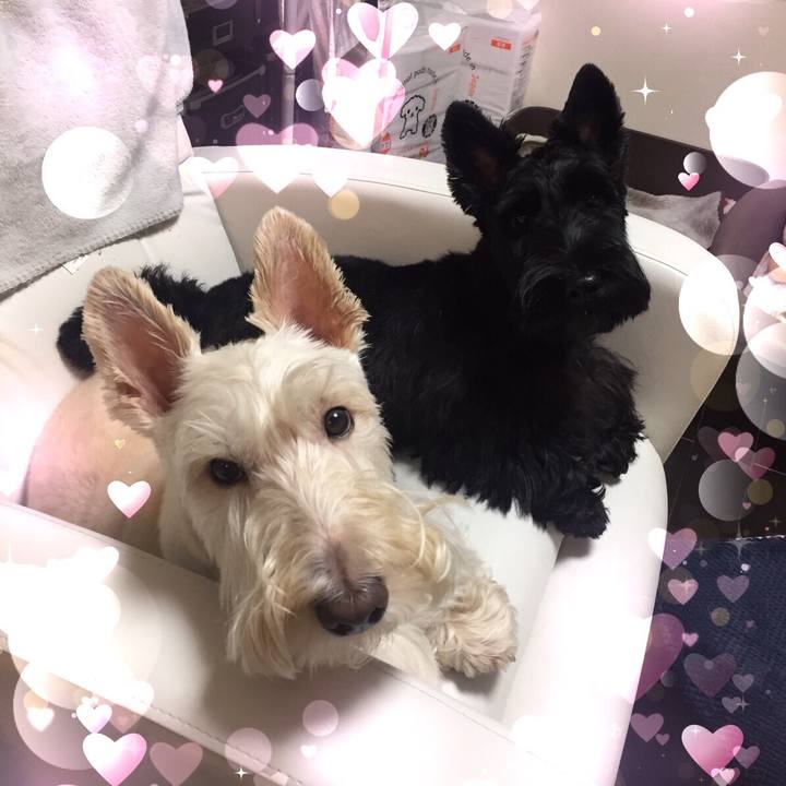 35843343 f455 4575 9431 faf0ee06d59f