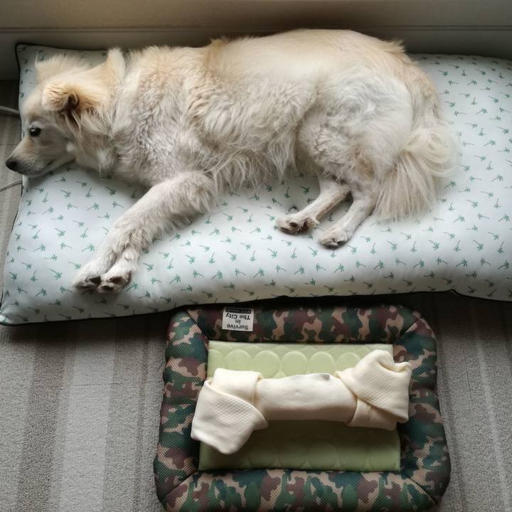 358487a5 6f0d 4224 a9f7 d7dff050d8a8