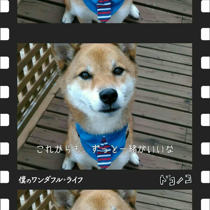 358520d4 7a15 430a 91d4 fbff2f67f387