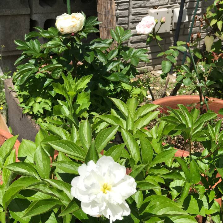 35855966 d46f 4730 b7d7 b473946a2788