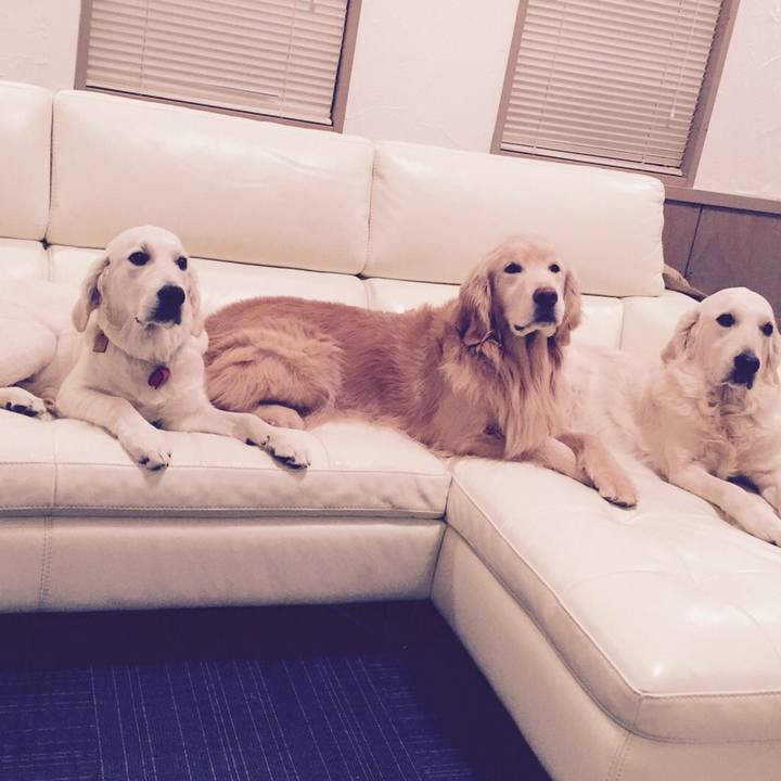 35860e41 3682 472f a731 bff3e9a556b2