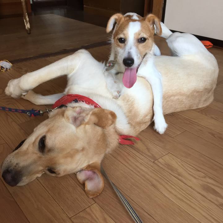 35862436 07fe 4f5b a494 1defef1a25b4