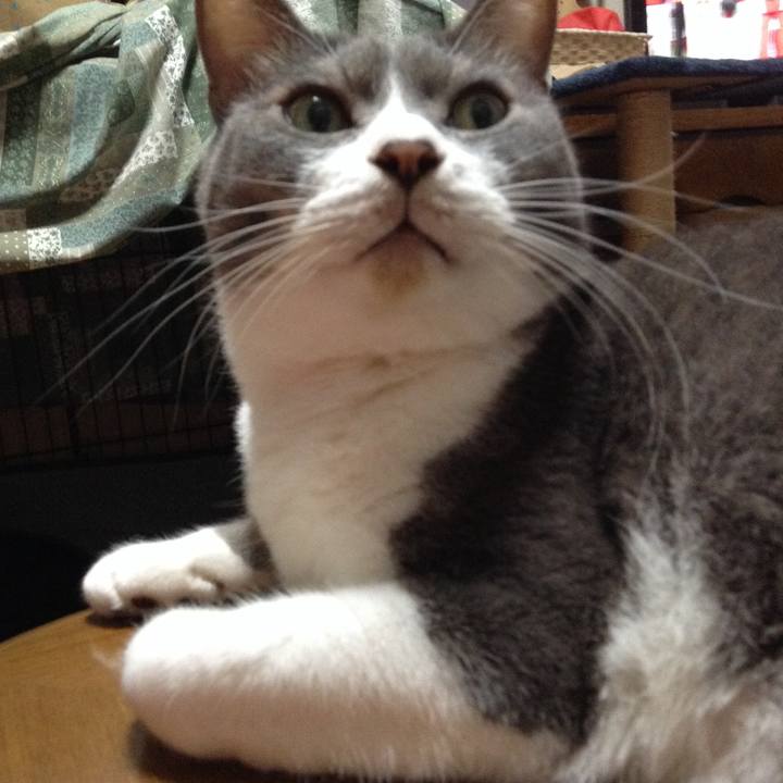 35866a0b 1b9d 4056 a55c e7febcc25231