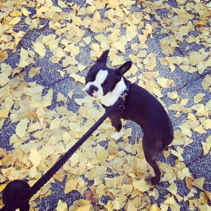 3586b0b1 bb3e 463c 98cd 5ca7fbb6d236