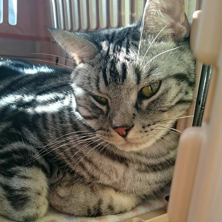 3587b9fe 37b5 439f 8014 685def6f3d33