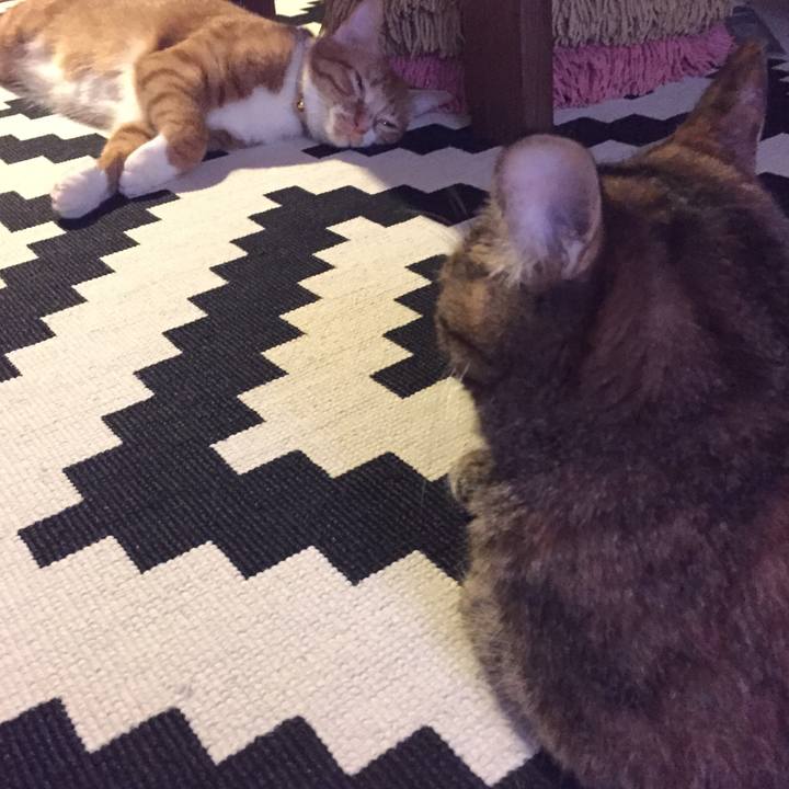 3588818d 5bee 4249 b798 e62b67e1ab2a