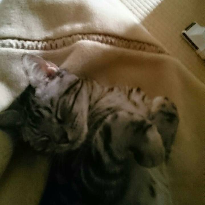 3588f0a7 4ce6 4954 82a8 9a5fe9cfa1d8