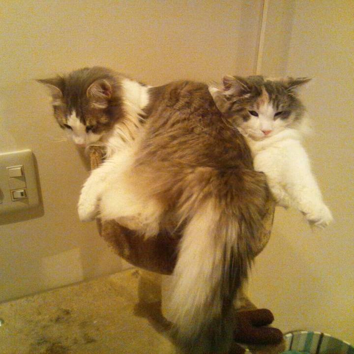 35890a55 9255 4655 8d9a 83ca86fff221